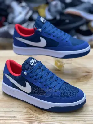 Nike SB Brand