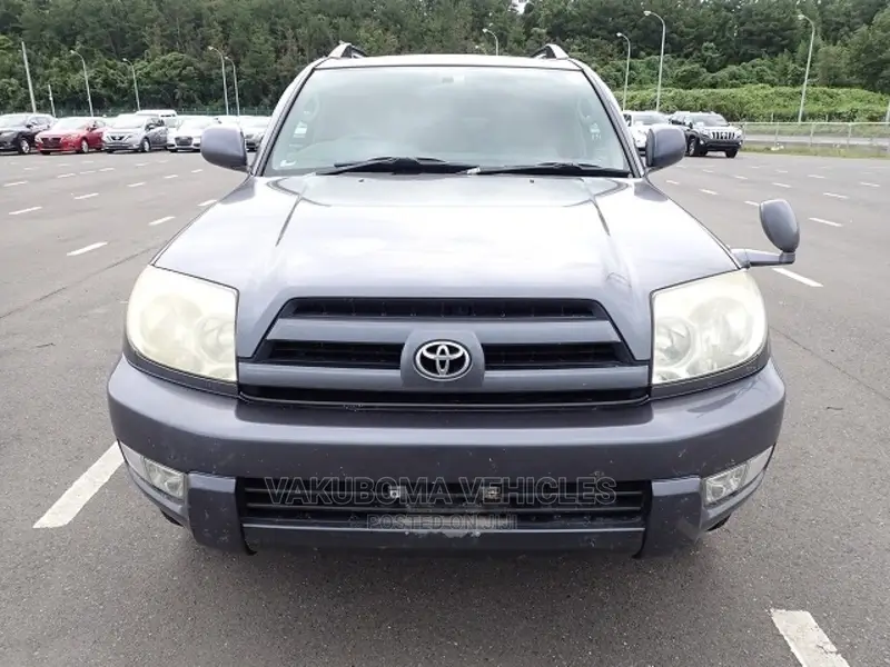 Toyota Hilux Surf 2005 Blue