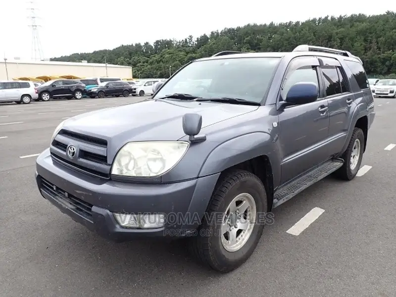 Toyota Hilux Surf 2005 Blue