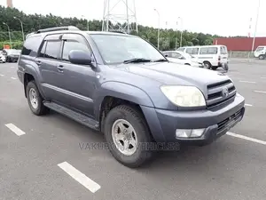 Toyota Hilux Surf 2005 Blue