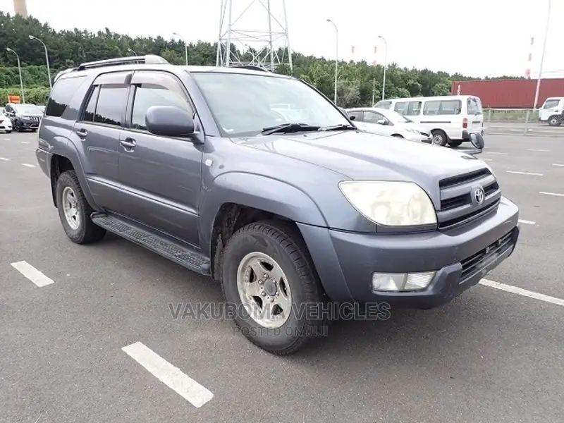 Toyota Hilux Surf 2005 Blue