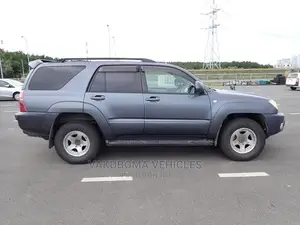 Toyota Hilux Surf 2005 Blue