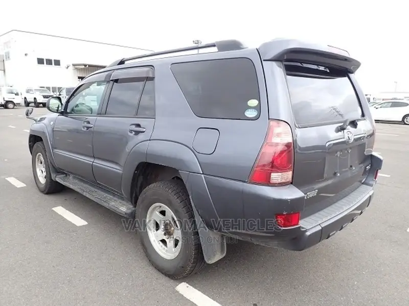Toyota Hilux Surf 2005 Blue