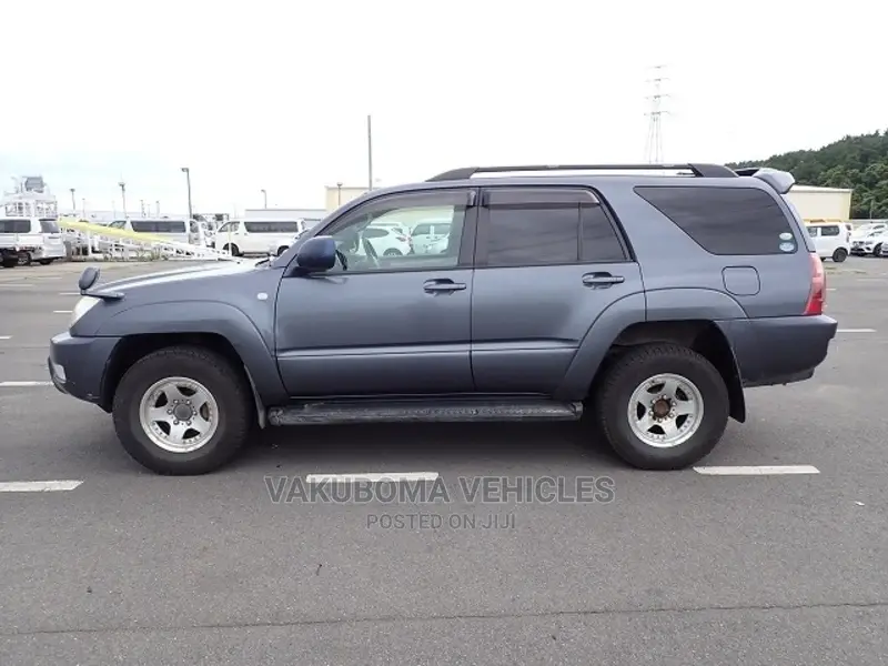 Toyota Hilux Surf 2005 Blue
