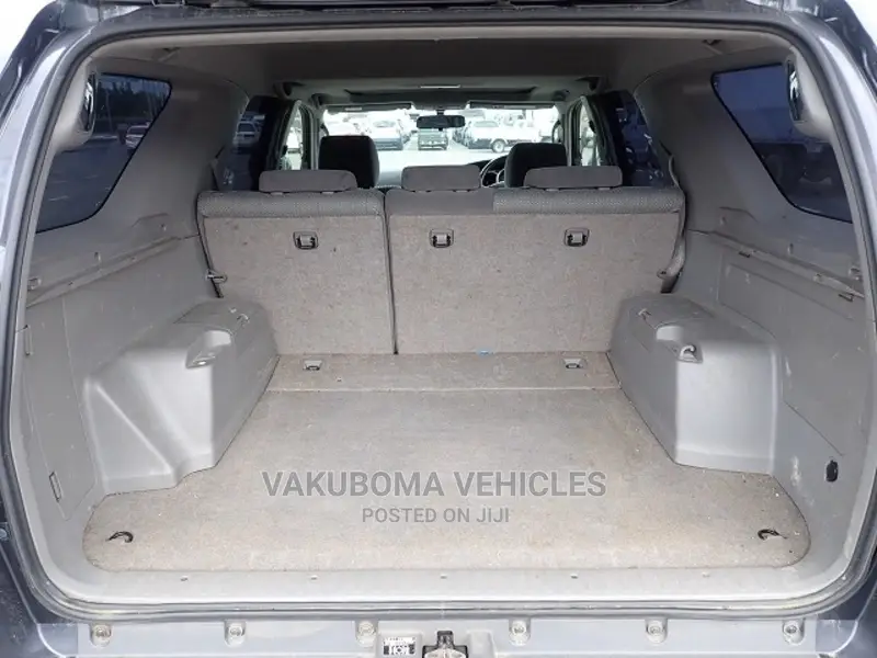 Toyota Hilux Surf 2005 Blue
