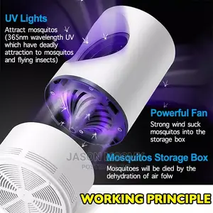 Mosquito Lamp