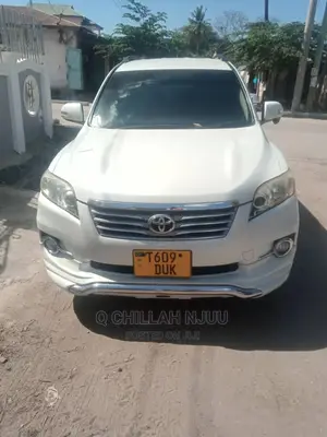 Toyota Vanguard 2010 White