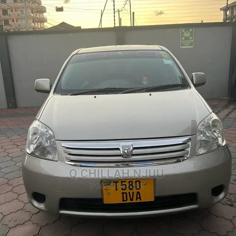 Toyota Raum 2003 Gray