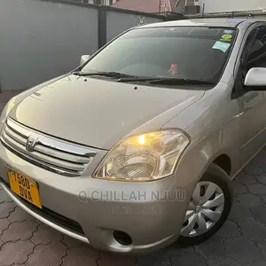 Toyota Raum 2003 Gray