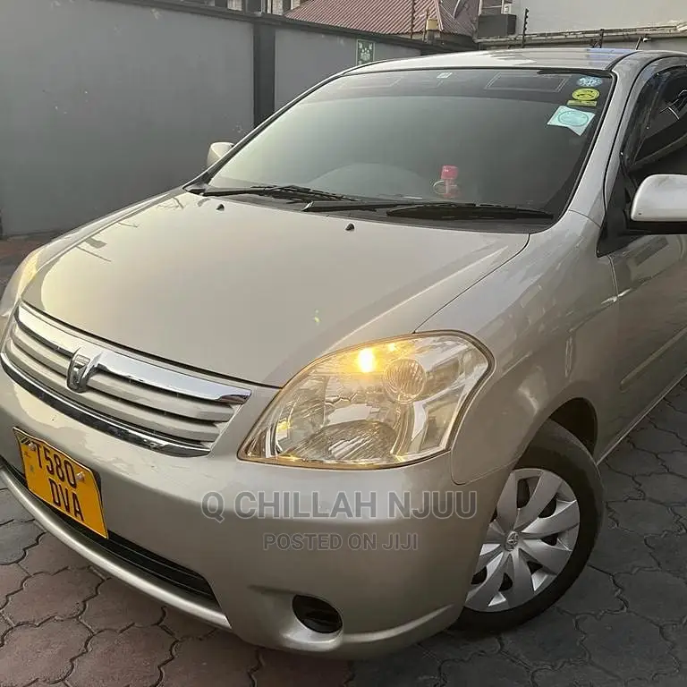 Toyota Raum 2003 Gray