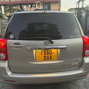 Toyota Raum 2003 Gray