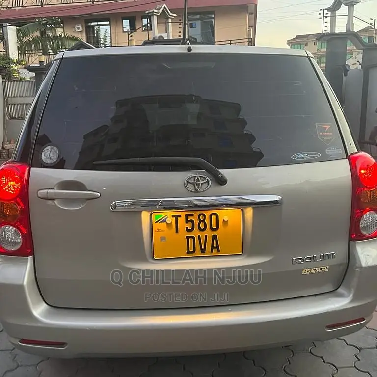 Toyota Raum 2003 Gray
