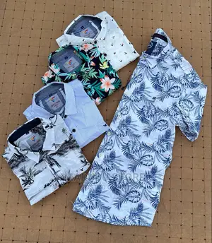 Men's Shirts