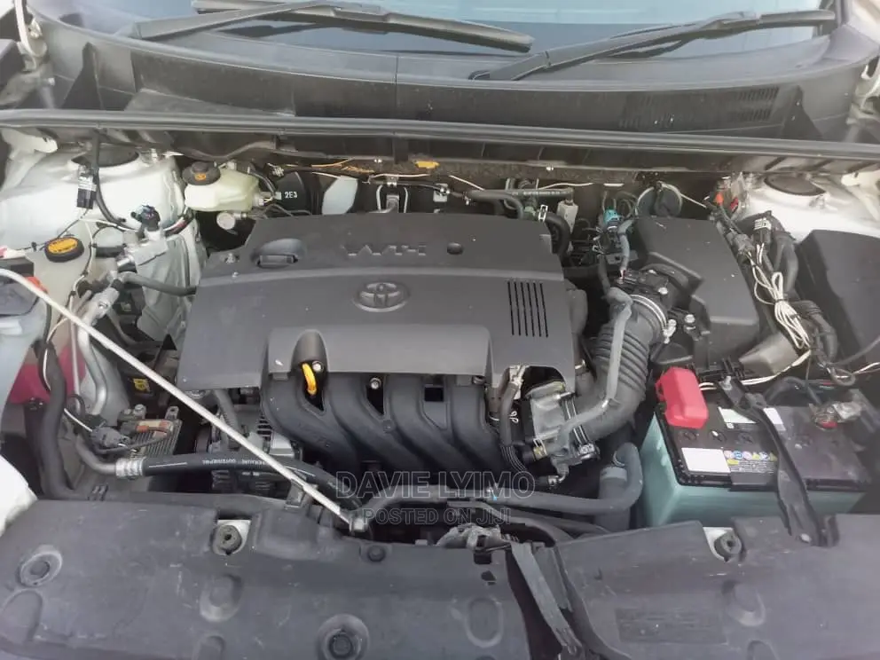 Toyota Corolla Rumion 2010 Pearl