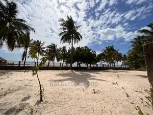 Beach Plot at Ununio