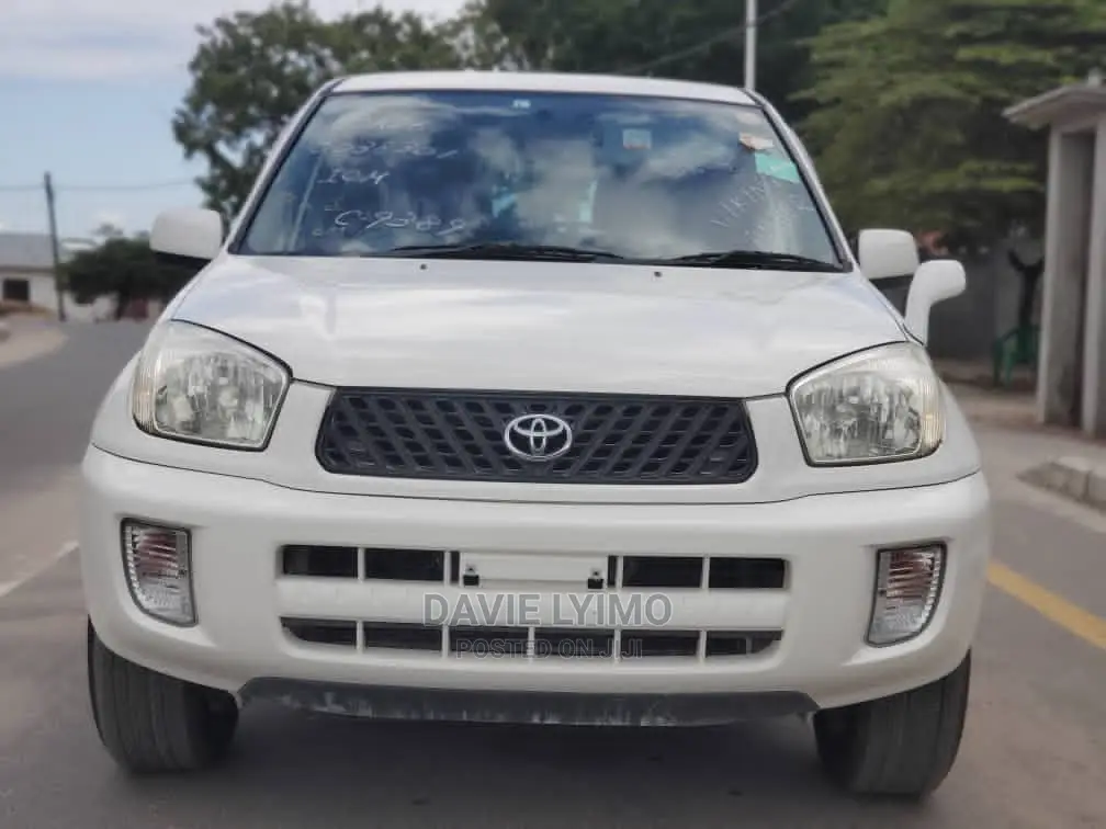 Toyota RAV4 2002 White