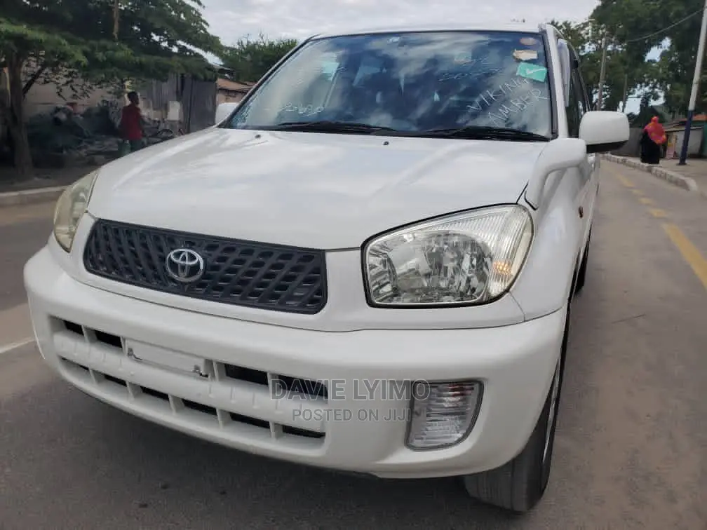 Toyota RAV4 2002 White