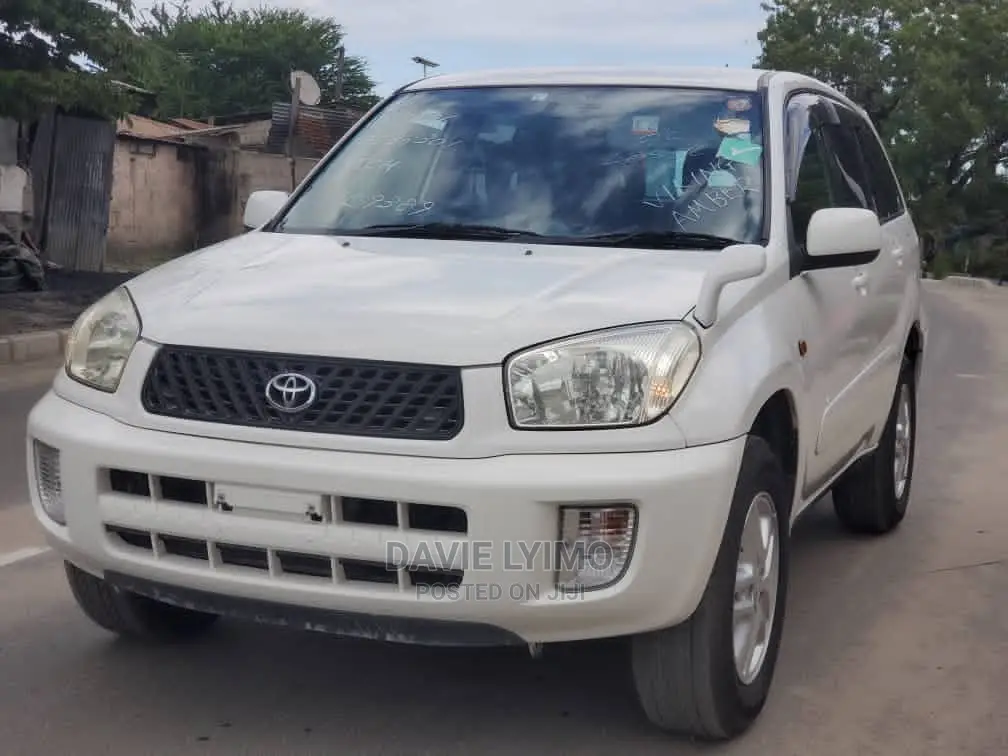 Toyota RAV4 2002 White