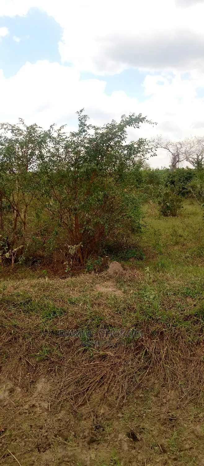 Mashamba Yanauzwa Kiwangwa Bagamoyo in Kiwangwa Land & Plots for Sale