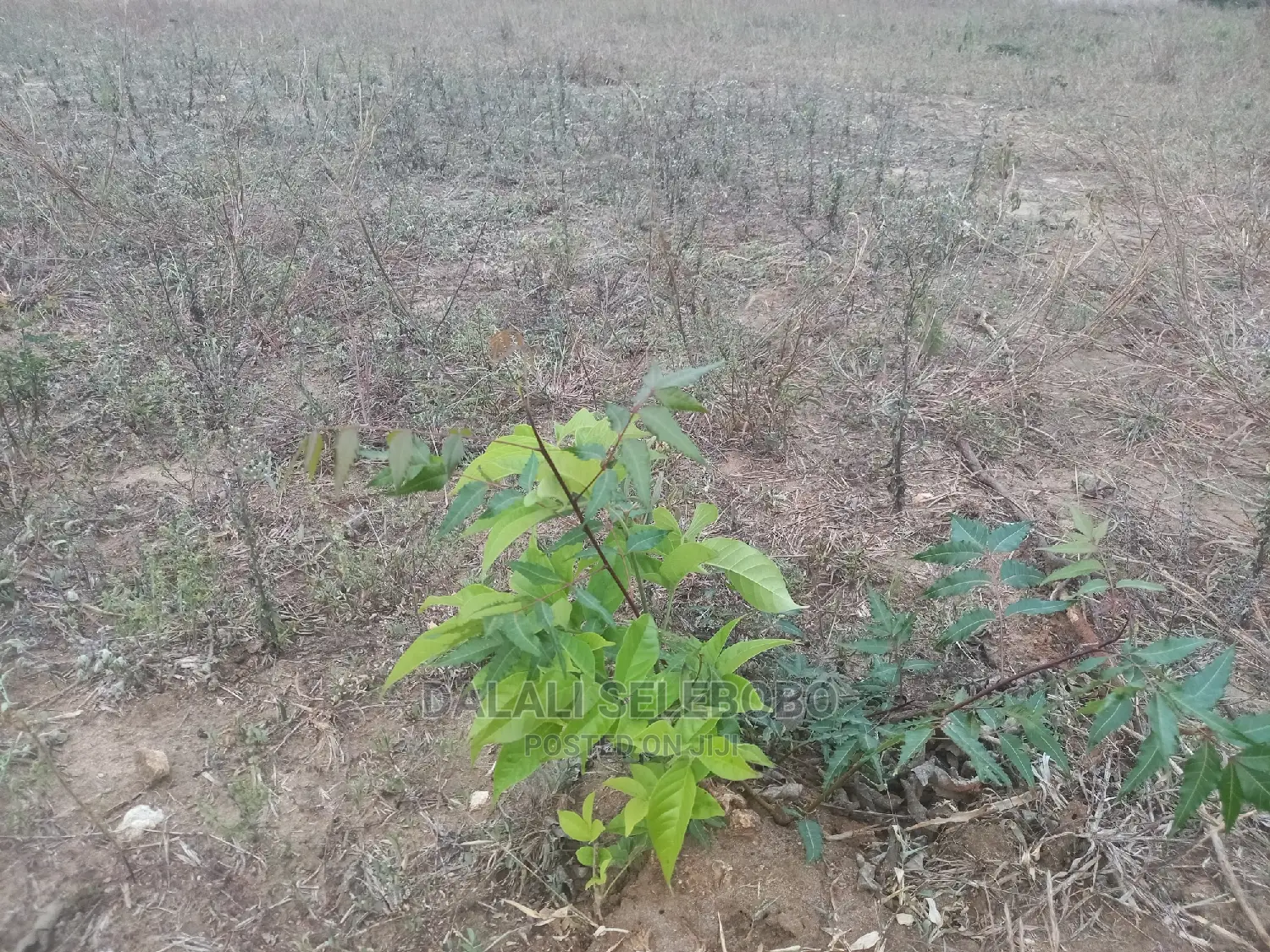 Coner Plot Kwa Biashara Bunju Usalama