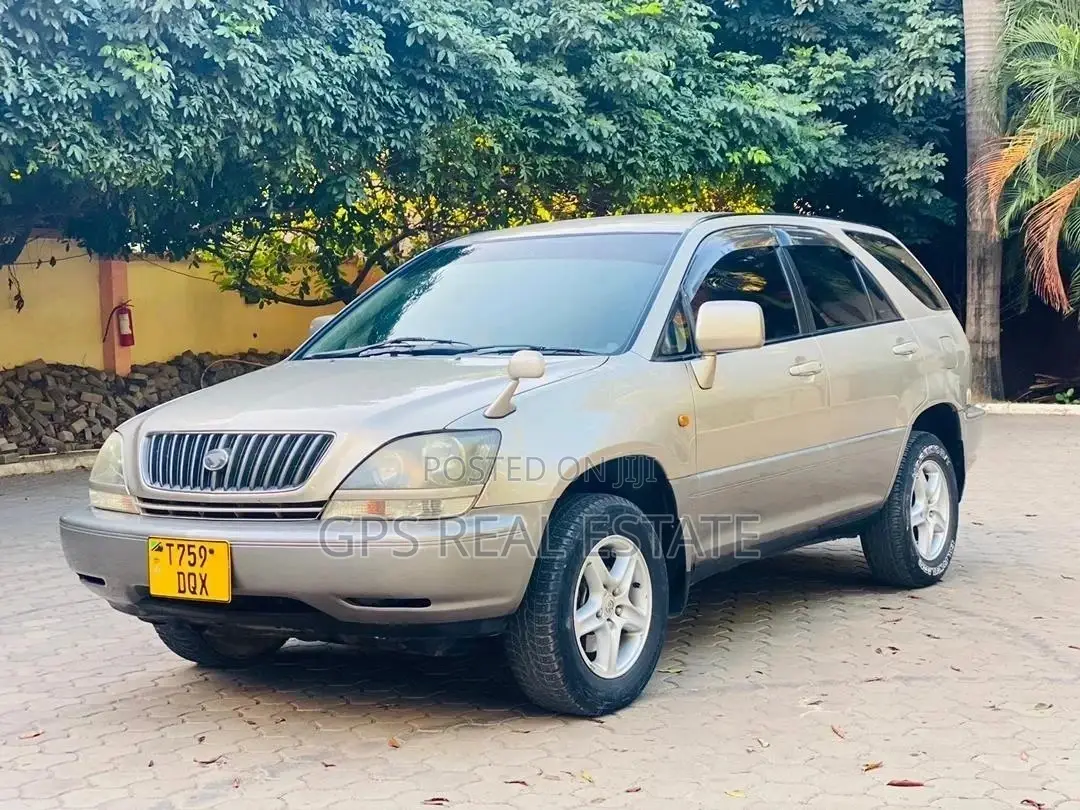 Toyota Harrier 2004 Silver