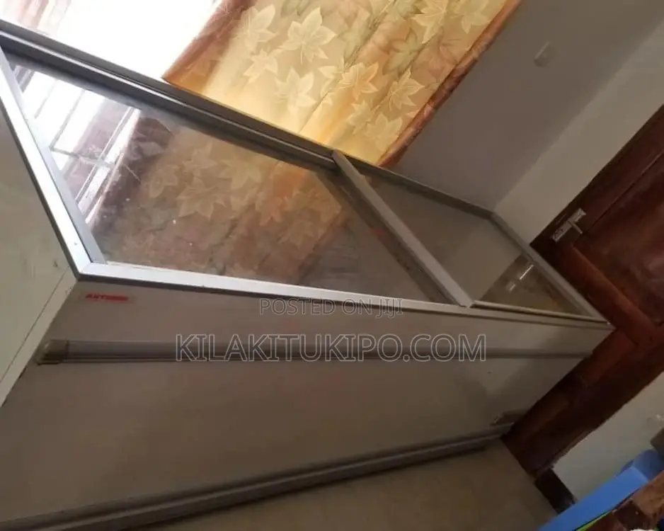 The Biggest Freezer 900L