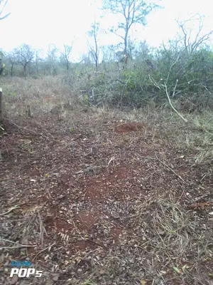 Shamba Linauzwa Chalinze Miono