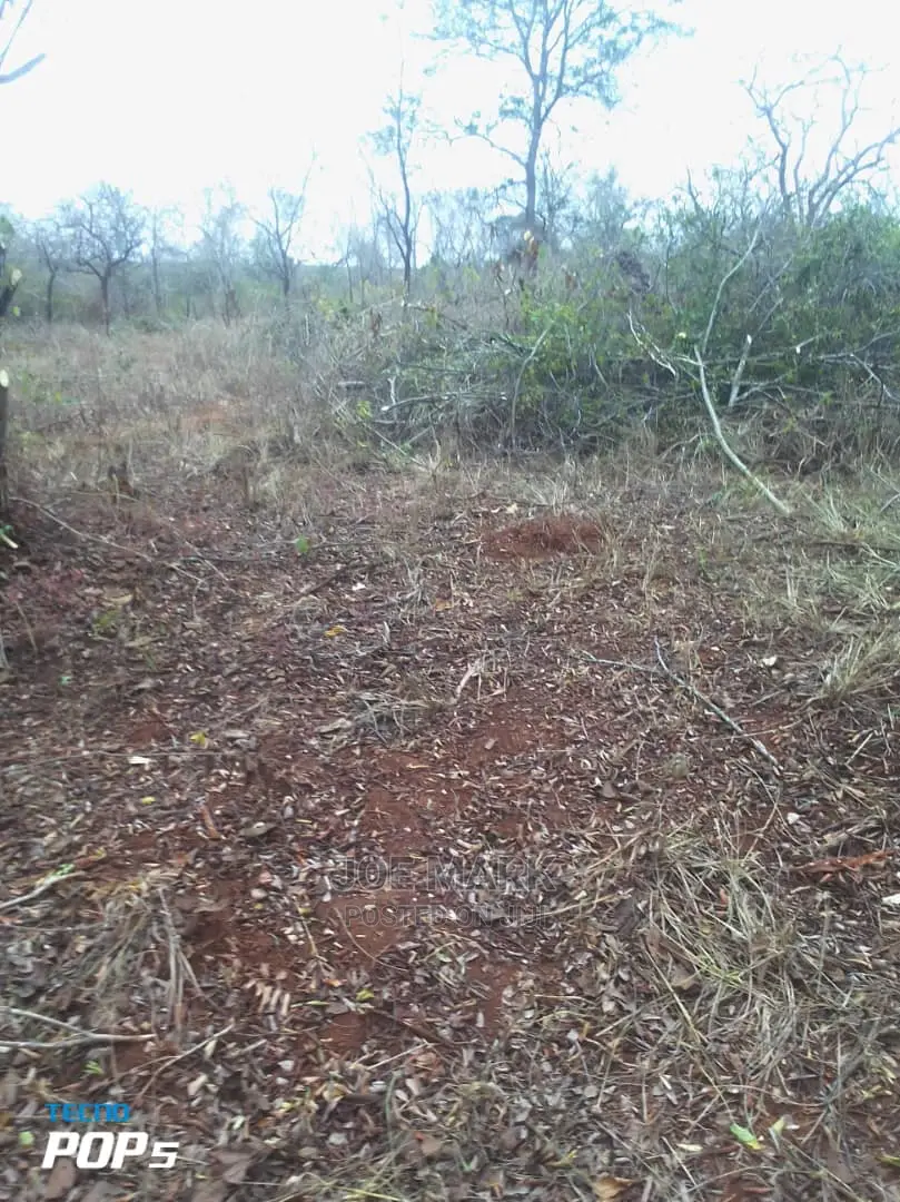 Shamba Linauzwa Chalinze Miono
