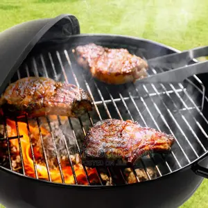 17" Charcoal Kettle Grill Outdoor With Moving Wheels