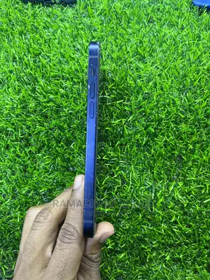 Apple iPhone 12 64 GB Blue
