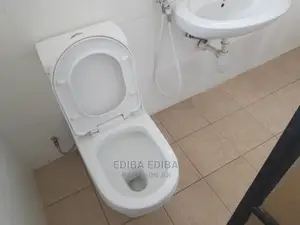 4bdrm House in Ediba Real Estate, Arusha for Rent