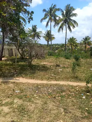 Plot Kubwa Sana at Makongo Juu