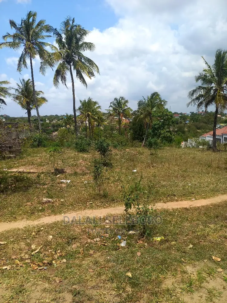 Plot Kubwa Sana at Makongo Juu