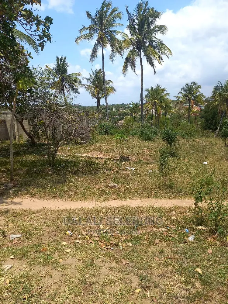 Plot Kubwa Sana at Makongo Juu