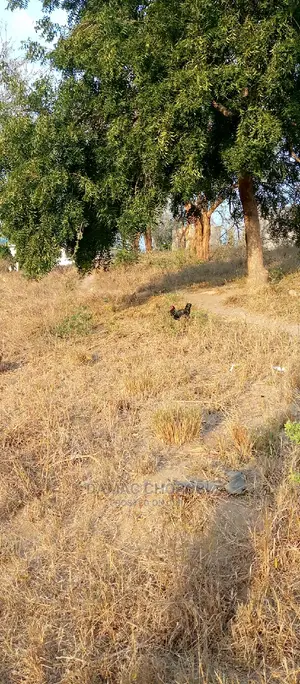 Shamba Acre 100 Zinauzwa Singinda