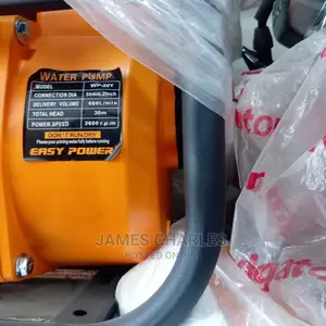 WP 30Y Easy Power Pum