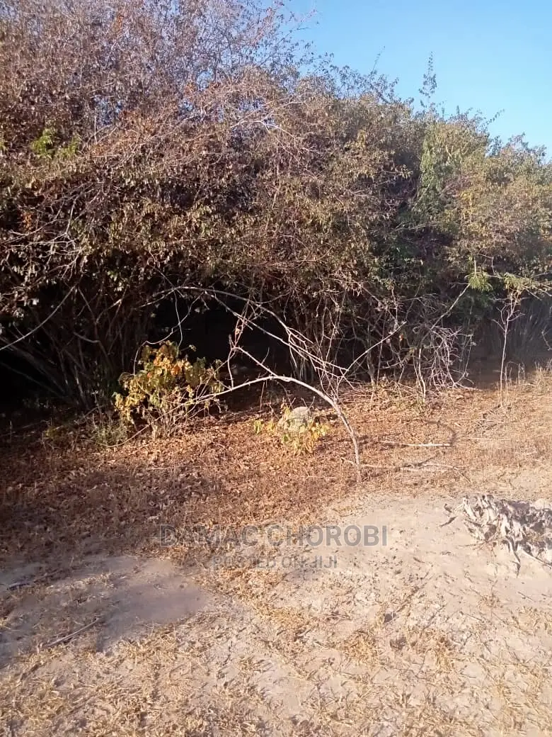 Acre 3000 Singida for Sale