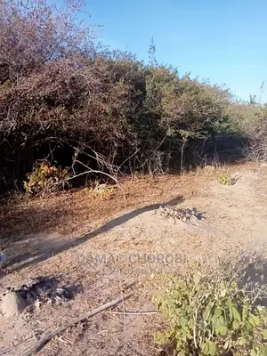 Acre 5000 Singida for Sale