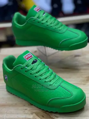 Puma Brand