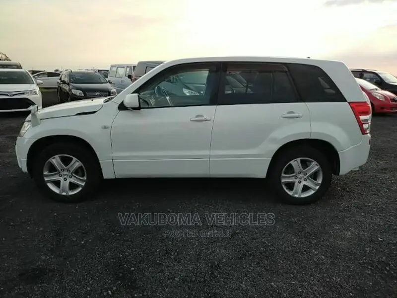 Suzuki Escudo 2005 Pearl