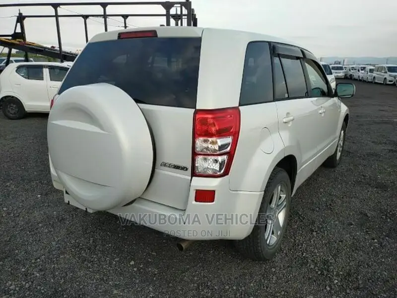 Suzuki Escudo 2005 Pearl