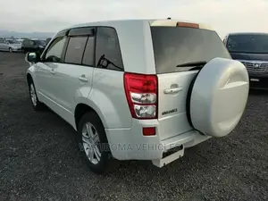 Suzuki Escudo 2005 Pearl