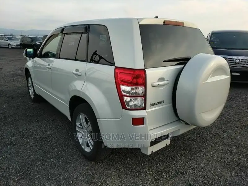 Suzuki Escudo 2005 Pearl