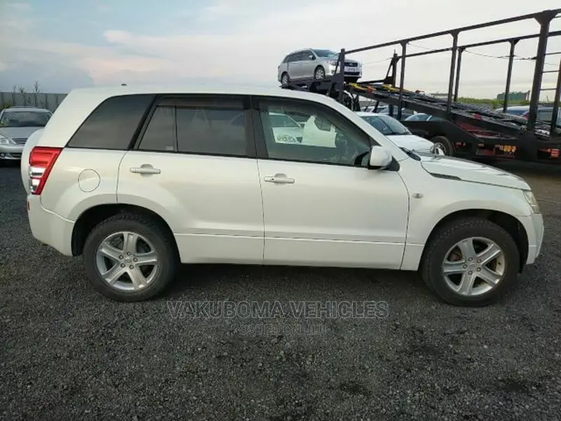 Suzuki Escudo 2005 Pearl