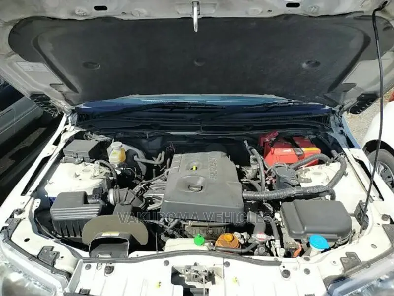 Suzuki Escudo 2005 Pearl