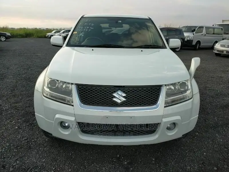 Suzuki Escudo 2005 Pearl
