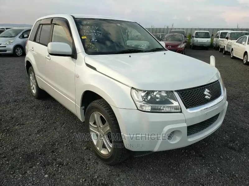 Suzuki Escudo 2005 Pearl