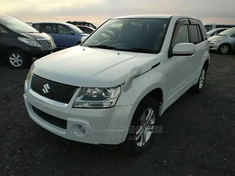 Suzuki Escudo 2005 Pearl