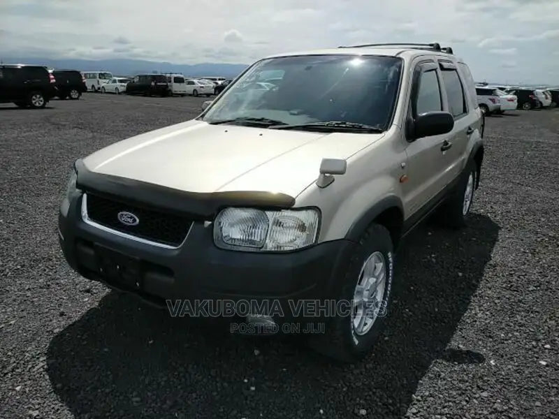 Ford Escape 2002 Silver
