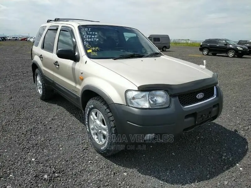 Ford Escape 2002 Silver